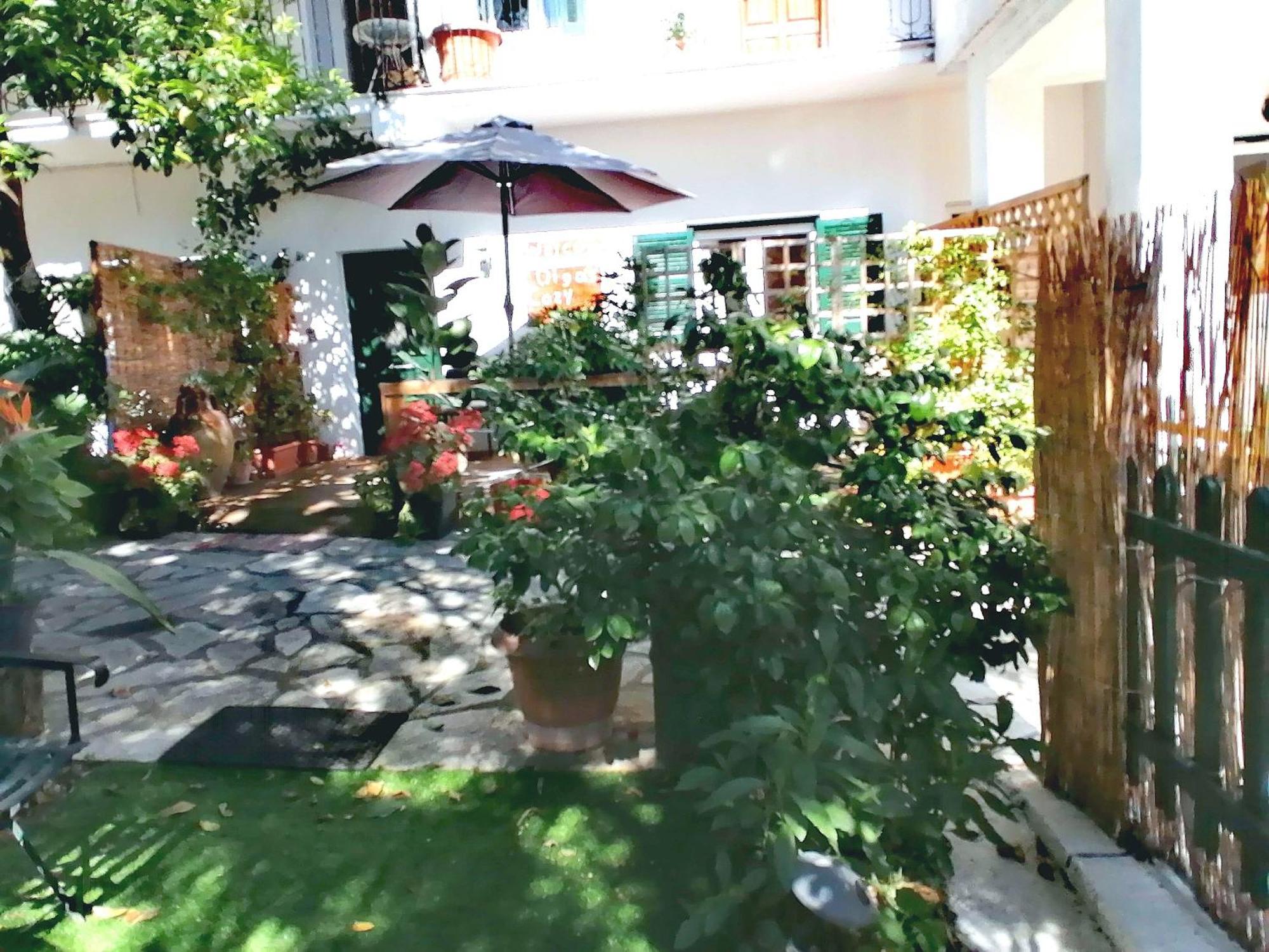 Olga'S Cozy Nest , Apartment In Ano Korakiana. Екстериор снимка